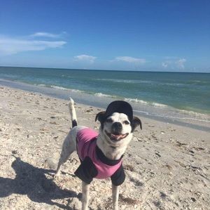 Meet your Posher, Candy